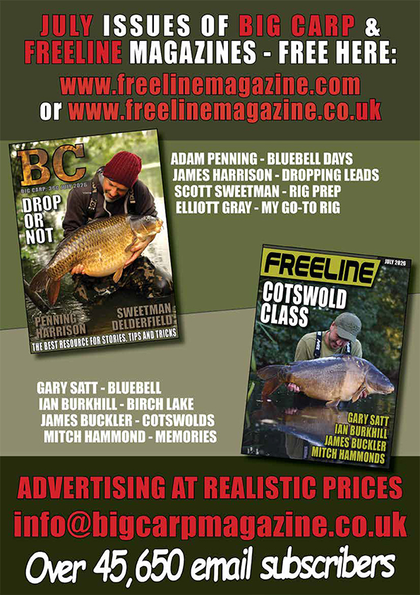 Freeline July 2026 cover image