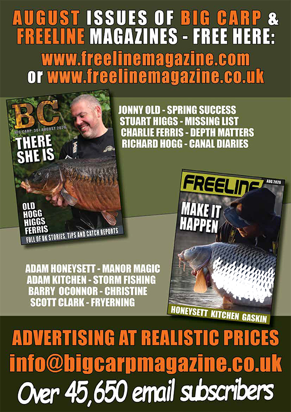 Freeline August 2026 cover image