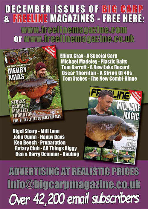 Freeline December 2024 cover image